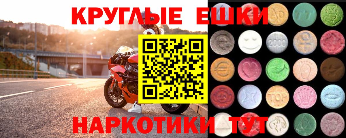 Ecstasy Philipp Plein  Ecstasy 99%  Вход с VPN  Северобайкальск 