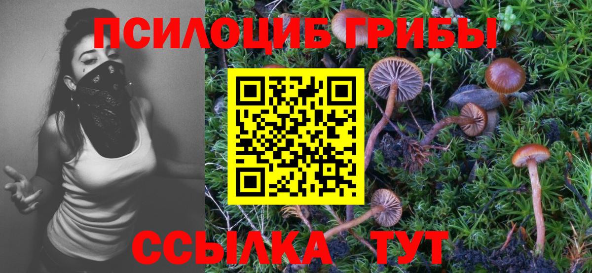Северобайкальск  Галлюциногенные грибы Psilocybe  где продают наркотики  Вход с VPN 