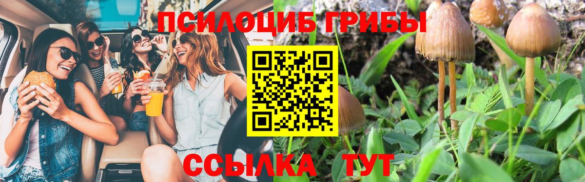 Псилоцибиновые грибы ЛСД Северобайкальск
